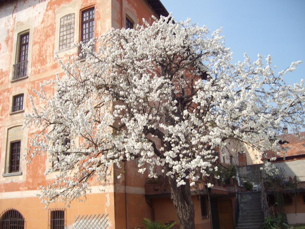 Il Castello Delle Meraviglie Fontaneto d'Agogna Exteriör bild